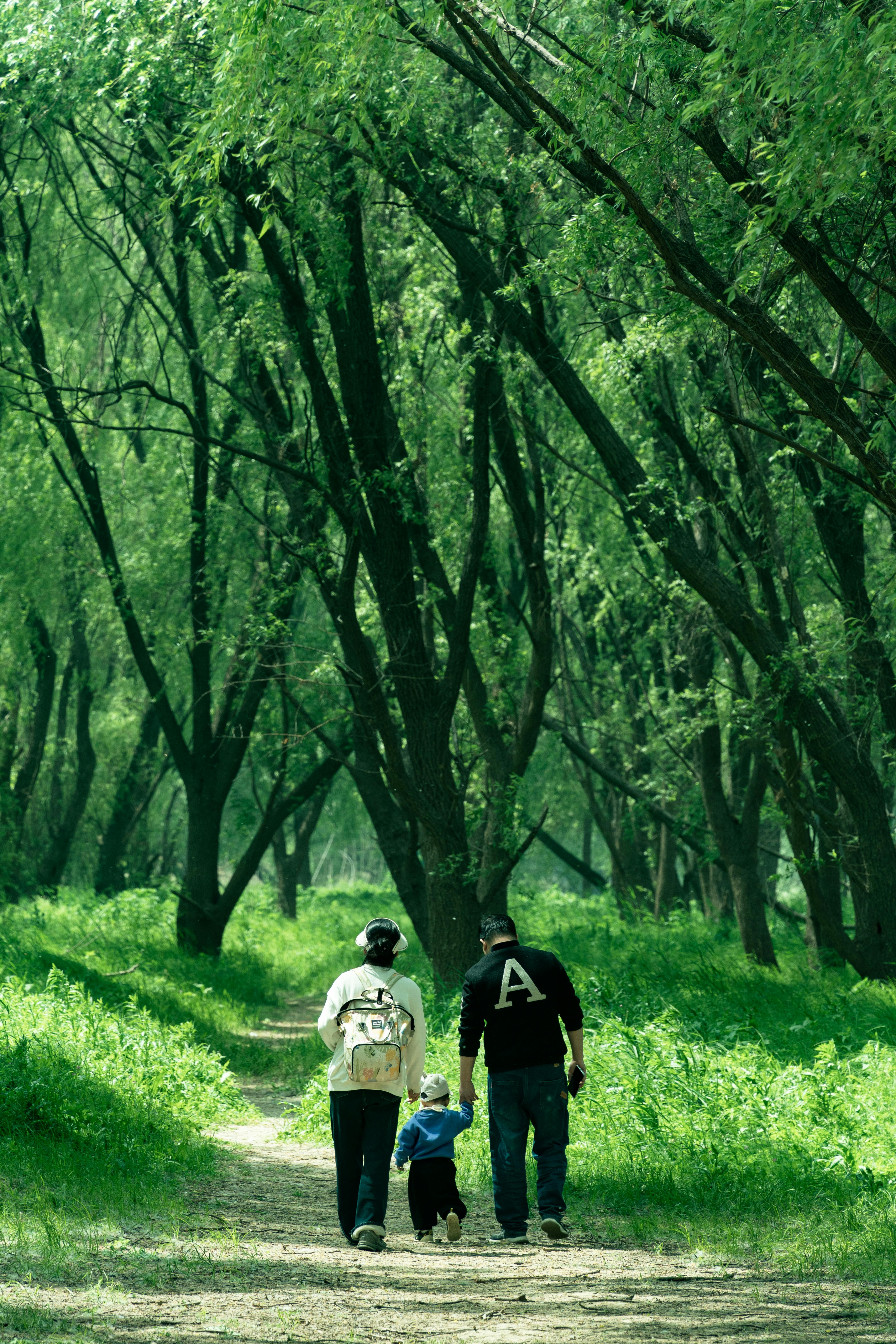 Steps To Nature